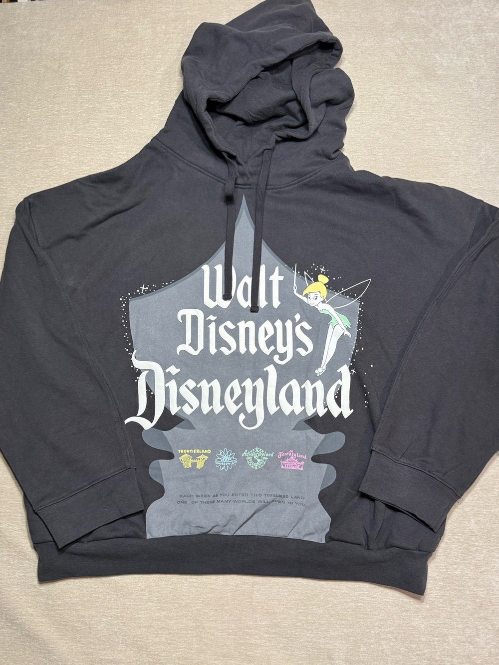 Walt Disney's Disneyland Hooded Sweatshirt